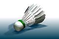 Badminton