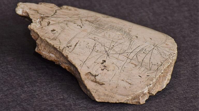 Die Mammutgravur auf dem Stoßzahnfragment stammt aus den Klausenhöhlen bei Essing im Altmühltal und ist zwischen 16 000 bis 12 000 vor Christus datiert. Die Mammutgravur auf dem Stoßzahnfragment stammt aus den Klausenhöhlen bei Essing im Altmühltal und ist zwischen 16 000 bis 12 000 vor Christus datiert.