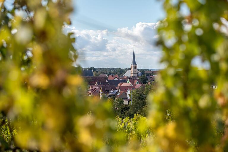 Wanderung: 'Rund ums Hörnle in Oberschwarzach' am 28.09.24. Blick auf Oberschwarzach aus den Weinbergen heraus. Wanderung: 'Rund ums Hörnle in Oberschwarzach' am 28.09.24. Blick auf Oberschwarzach aus den Weinbergen heraus.