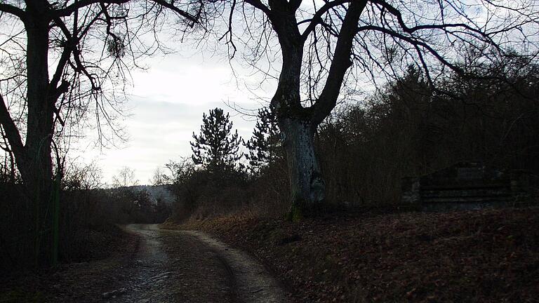 Im Ostheimer Naherholungsgebiet 'Bremelsberge' will ein Bauherr seine Bauten nachträglich genehmigen lassen. Die Stadt verweigert jedoch das gemeindliche Einvernehmen. Im Ostheimer Naherholungsgebiet 'Bremelsberge' will ein Bauherr seine Bauten nachträglich genehmigen lassen. Die Stadt verweigert jedoch das gemeindliche Einvernehmen.