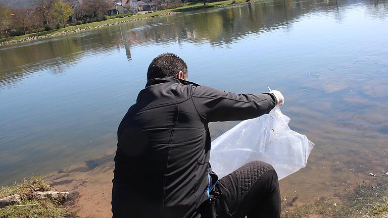 Ein Helfer der Fischerzunft Lohr entlässt einen Teil der jungen Aale am Lohrer Mainufer in den Fluss.