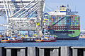 Containerschiff im Rotterdamer Hafen: Auch für deutsche Exporteure trübt sich die Perspektive ein.