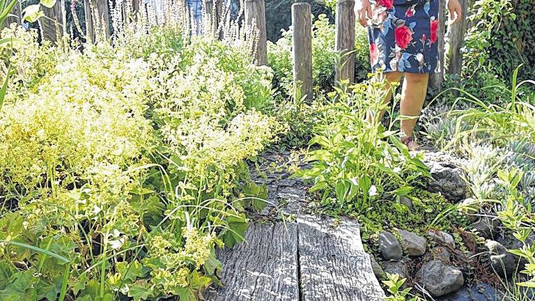 Wegweisend: Bohlen über den Teich