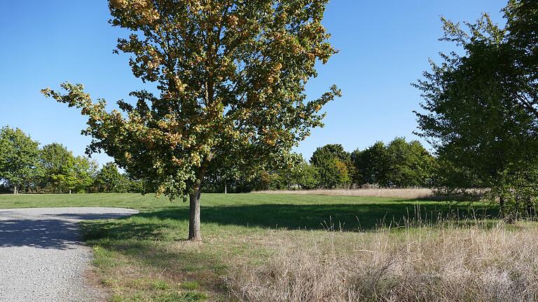 Angrenzend an das Neubaugebiet 'Verlängerung Heckenweg', oberhalb des Heidelbergwegs, sollen in der Nähe des Bolzplatzes weitere sechs Bauplätze erschlossen werden.