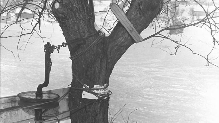 1965: Eine Felge auf einer ausgedienten Achse, die an einem Baum festgezurrt war, diente als Umlenkrolle für das Seil des ersten Skilifts.