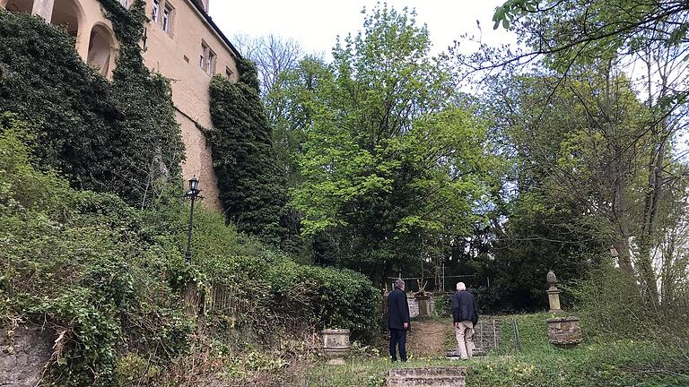 Der Förderverein Schloss Mainberg möchte den Schlosspark für die Öffentlichkeit wieder sichtbar machen.