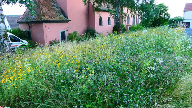 Nach einer Anregung aus der letztjährigen Bürgerversammlung wurde die Blühwiese vor der Ottendorfer Kirche verwirklicht. Jetzt meldete sich eine Bürgerin zu Wort und bezeichnete die Fläche als 'potthäßlichen Unkrautacker'.