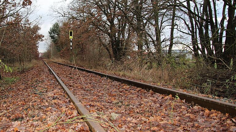 Die Trasse der ehemaligen Steigerwaldbahn soll nicht zerstückelt werden. Für den Bereich Alitzheim beschloss der Sulzheimer Gemeinderat, sie als vollständiges, durchgehendes Band zu erhalten.