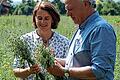 Im Hafer-Feld: Wissenschaftlerin Dr. Heike Will und Dr. Johannes Gottfried Mayer von der Forschungsgruppe Klostermedizin mit der Arzneipflanze des Jahres 2017.