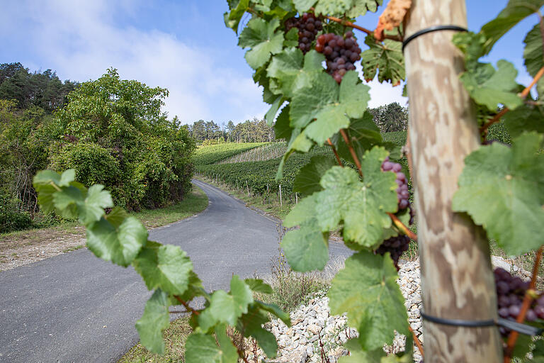 Die Route führt vom Ortskern Erlabrunns hinauf in den Weinberg. Die Route führt vom Ortskern Erlabrunns hinauf in den Weinberg.