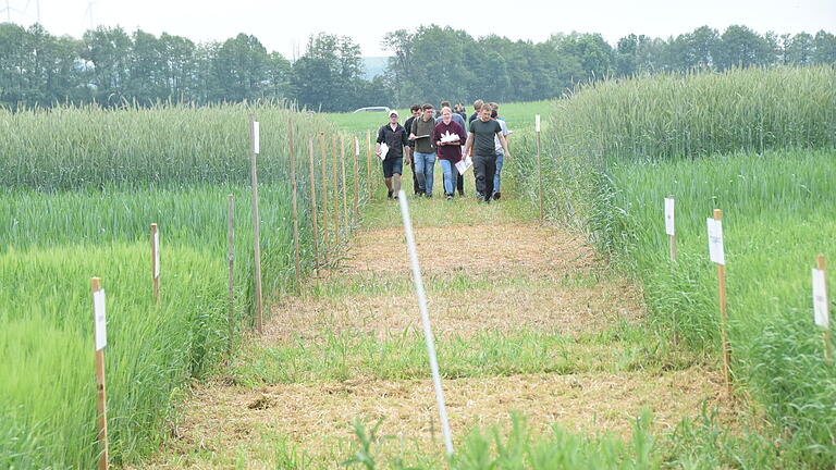 Auszubildende der landwirtschaftlichen Berufsschule Schweinfurt nahmen kurz vor dem offiziellen Auftakt des Landbautags die Felder bei Burglauer in Augenschein.&nbsp;