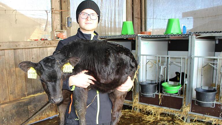 Sebastian Bausch züchtet Wagyu-Rinder als Hobby. Auf dem Arm trägt er ein 14 Tage altes Kälbchen. - Sebastian Bausch züchtet Wagyu-Rinder als Hobby. Auf dem Arm trägt er ein 14 Tage altes Kälbchen. Sebastian Bausch züchtet Wagyu-Rinder als Hobby. Auf dem Arm trägt er ein 14 Tage altes Kälbchen. - Sebastian Bausch züchtet Wagyu-Rinder als Hobby. Auf dem Arm trägt er ein 14 Tage altes Kälbchen.