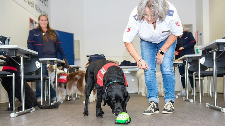 Hier übt die Hündin Lucy mit Anette Wolf, Leiterin des Therapiebegleithundeteams, mit einem Spielzeug. Hier übt die Hündin Lucy mit Anette Wolf, Leiterin des Therapiebegleithundeteams, mit einem Spielzeug.