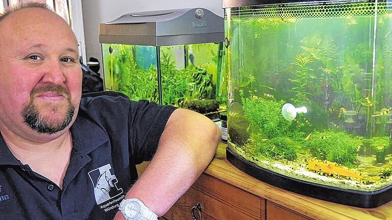 Wasserwelten: Joachim Schmitt ergötzt sich täglich an seinen Fischen, Garnelen, Schnecken und Muscheln.