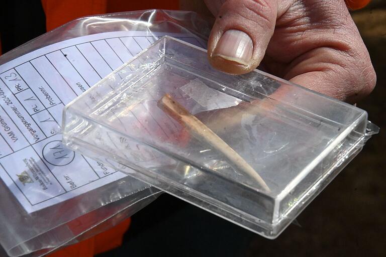 Eine solche Ahle aus der Jungsteinzeit wurde bei den Ausgrabungen in Grünsfeldhausen gefunden. Eine solche Ahle aus der Jungsteinzeit wurde bei den Ausgrabungen in Grünsfeldhausen gefunden.