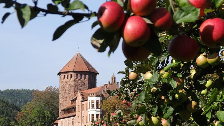 Burg Rieneck