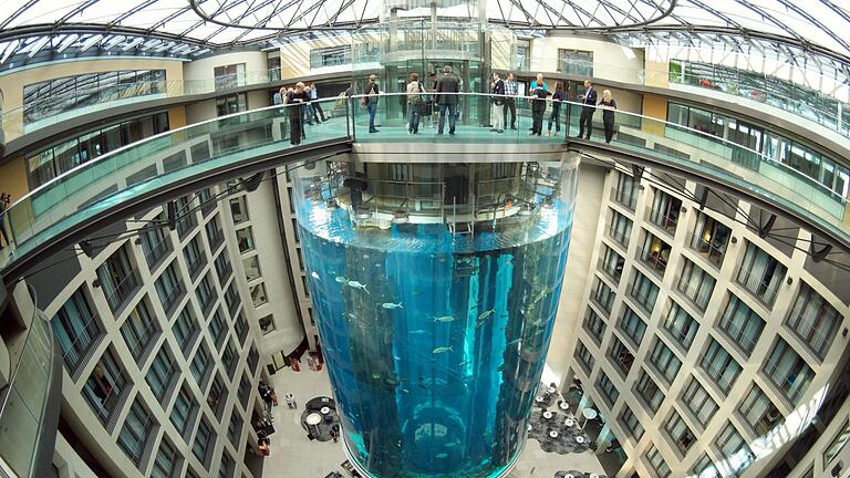 Geplatztes Berliner Aquarium - Ursachenforschung.jpeg       -  Blick auf den AquaDom im Sea Life.