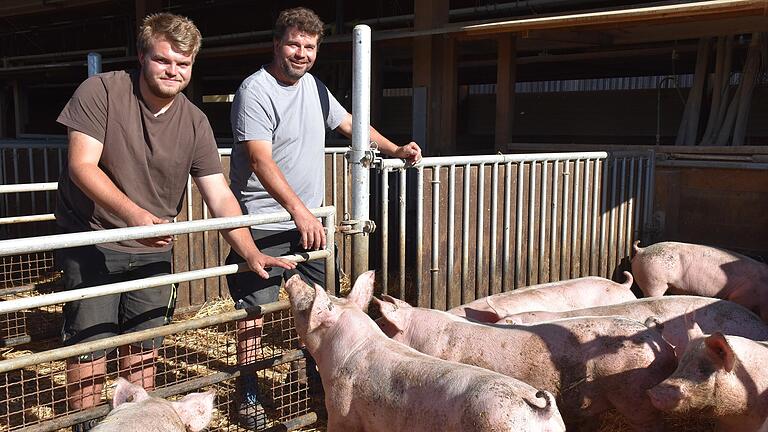 Strohschweine, wie sie Landwirtschaftsmeister Clemens Schmittfull (50) hält, werden zwar noch der konventionellen Haltung zugerechnet, dürfen aber an die frische Luft und können die Sonne genießen. Sein Sohn Jakob (21), ergänzt den Betrieb um die Sparte Geflügelhaltung.