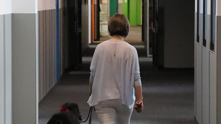 Immer an der Leine: Shadow lernt die langen Gänge im Gymnasium kennen.&nbsp;