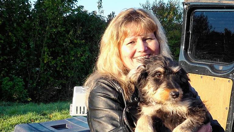 Angekommen: Heike Hofmann nimmt auf dieser Aufnahme aus dem Jahr 2012 ihren Kimo aus Ungarn in Empfang. Angekommen: Heike Hofmann nimmt auf dieser Aufnahme aus dem Jahr 2012 ihren Kimo aus Ungarn in Empfang.
