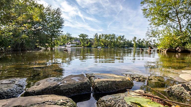 Im Sommer wird gerne im Main gebadet- Plastikmüll hat da nichts zu suchen. Im Sommer wird gerne im Main gebadet- Plastikmüll hat da nichts zu suchen. 
