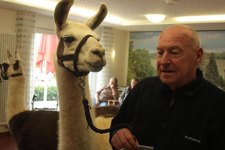 Robert Hambloch, gemeinsam mit Lama-Dame Feline. Robert Hambloch, gemeinsam mit Lama-Dame Feline.