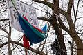Aus Solidarität zu den Umweltschützern im Dannenröder Wald hingen auch am Samstag im Würzburger Ringpark Demonstranten in den Bäumen.&nbsp;