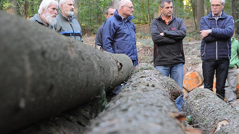 Bild oben: Das Kreuz steht für einen vom Borkenkäfer befallenen Baum. Er muss schleunigst aus dem Wald.Bild unten: Nachdenkliche Gesichter beim Waldbegang des Hofheimer Stadtrats.