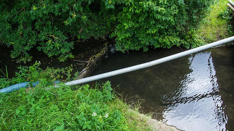 Für Fische sind die Staubecken wie eine Badewanne, sie können nicht heraus. Deshalb verbietet die Europäische Wasserrahmenrichtlinie solche Eingriffe in Fließgewässer.