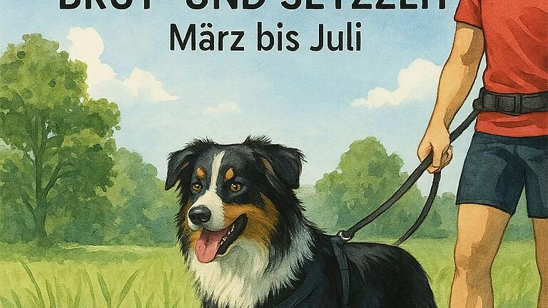 Die Tierfinder der Rhön rufen alle Hundebesitzerinnen und -besitzer dazu auf, während der Brut- und Setzzeit Rücksicht auf Wildtiere zu nehmen. Die Tierfinder der Rhön rufen alle Hundebesitzerinnen und -besitzer dazu auf, während der Brut- und Setzzeit Rücksicht auf Wildtiere zu nehmen. 