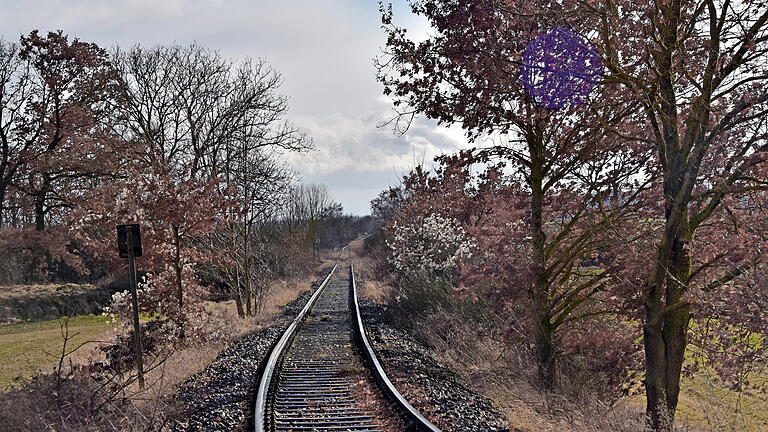 Die Trasse der stillgelegten Steigerwaldbahn. Die Trasse der stillgelegten Steigerwaldbahn.