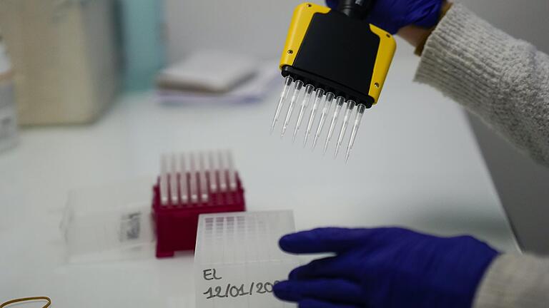 Labore suchen derzeit mit Nachdruck nach dem neuen, hoch ansteckenden Coronavirus aus Großbritannien. Die Mutante ist jetzt erstmals auch im Landkreis Kitzingen nachgewiesen worden. Labore suchen derzeit mit Nachdruck nach dem neuen, hoch ansteckenden Coronavirus aus Großbritannien. Die Mutante ist jetzt erstmals auch im Landkreis Kitzingen nachgewiesen worden.