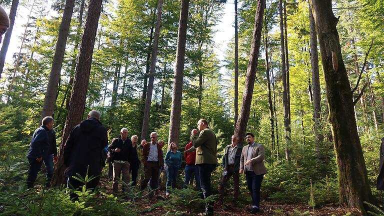 Die Entwicklung von Wald und Bäumen haben sich Politiker und Verbandsvertreter am Freitag in Lohr angeschaut. Die Entwicklung von Wald und Bäumen haben sich Politiker und Verbandsvertreter am Freitag in Lohr angeschaut. 
