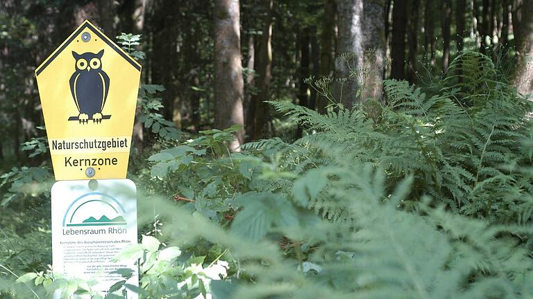 In den Kernzonen des Biosphärenreservats Rhön bleibt der Wald sich selbst überlassen.