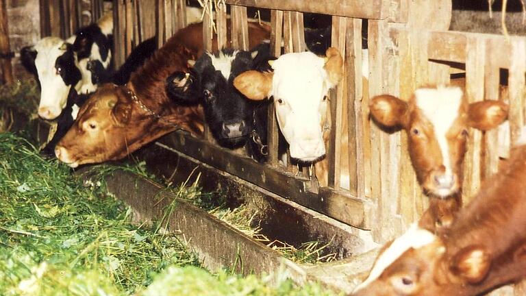 In den Trog im Viehstall wurde einst in den Heiligen Nächten geweihtes Salz gestreut, um Unglück in Haus und Stall abzuwehren. In den Trog im Viehstall wurde einst in den Heiligen Nächten geweihtes Salz gestreut, um Unglück in Haus und Stall abzuwehren.