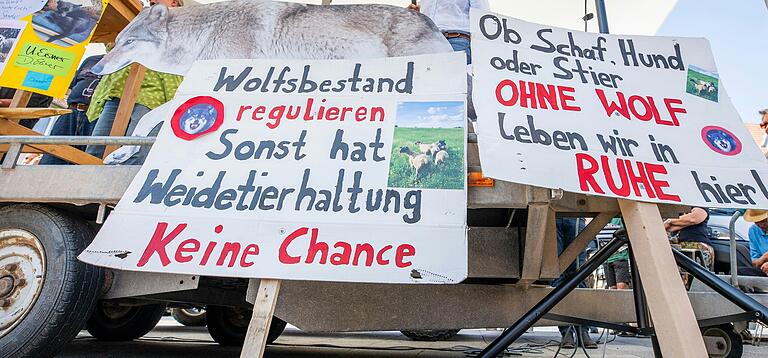 Die Weidetierhalter hat Landrat Thomas Habermann mit seiner Forderung nach einer Bestandsregulierung von Wölfen hinter sich. Das Bild entstand auf der Demonstration des Bauernverbandes am im Juli in Bad Neustadt. Die Weidetierhalter hat Landrat Thomas Habermann mit seiner Forderung nach einer Bestandsregulierung von Wölfen hinter sich. Das Bild entstand auf der Demonstration des Bauernverbandes am im Juli in Bad Neustadt.
