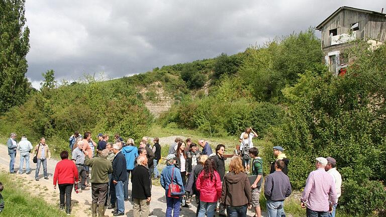 Im Juli 2011 begutachteten Interessierte den Steinbruch an der Autobahn bei Dettelbach, ein&nbsp; Biotop für bedrohte Arten.