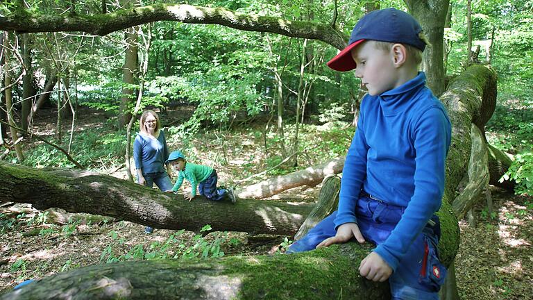 Eine Montessori-Schule in Lohr wäre eine stimmige Fortführung des Entwicklungsprinzips, das auch in Waldkindergärten gepflegt wird. Das Foto entstand 2017 im Lohrer Waldkindergarten am Romberg in Sendelbach. Eine Montessori-Schule in Lohr wäre eine stimmige Fortführung des Entwicklungsprinzips, das auch in Waldkindergärten gepflegt wird. Das Foto entstand 2017 im Lohrer Waldkindergarten am Romberg in Sendelbach. 