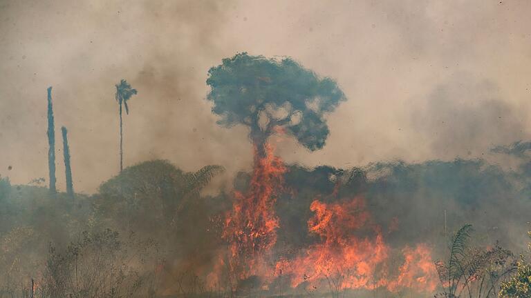 Waldbrände in Südamerika       -  Der Klimawandel beeinträchtigt weltweit immer stärker die menschliche Gesundheit. (Archivbild)