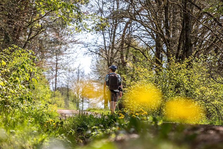 Die 'Jossgrundrunde' zeichnet sich auf 11,6 Kilometern durch besonders schöne und vielfältige Eindrücke im Spessart aus. Die 'Jossgrundrunde' zeichnet sich auf 11,6 Kilometern durch besonders schöne und vielfältige Eindrücke im Spessart aus.