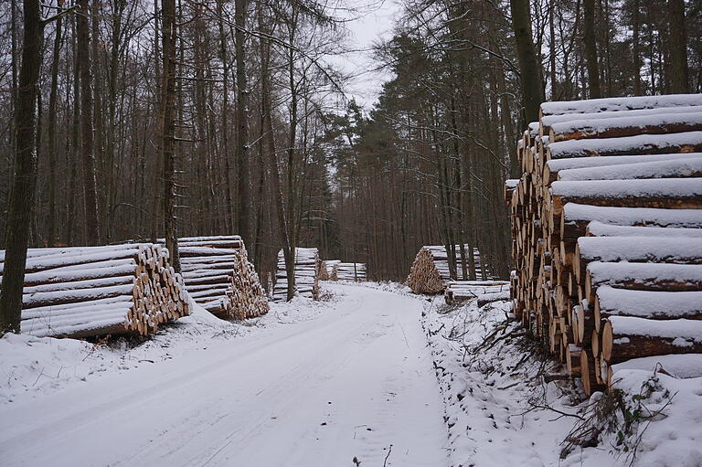 Auf dem Weg nach Sandberg: Holzernte im Winter.