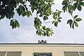 Zukunft ungewiss: Geschäfte und Praxen im Steigenberger sind von der Schließung des Hotels ebenfalls betroffen.