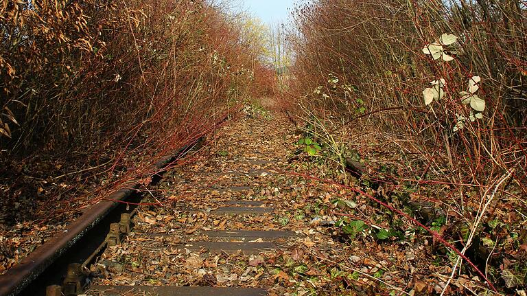 Ob das mit der Reaktivierung der Steigerwaldbahn noch was wird? Ein Blick auf die Strecke bei Wiesentheid.&nbsp;