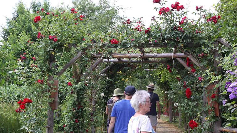 Die Gartenkulturtage in Himmelstadt waren gut besucht. Dort gab es über 20 offene Gärten zu sehen. An der Mainlände fand ein Gartenmarkt statt.