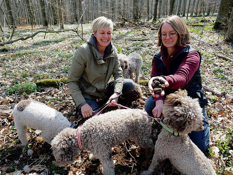 Die Hunde von Kerstin Zorn und Heidrun Spellerberg (von rechts) können Trüffel finden - auch wenn diese in Deutschland nicht gesammelt werden dürfen.