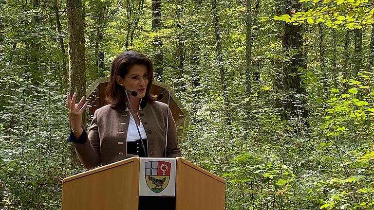 Forstministerin Michaela Kaniber im Üchtelhäuser Wald. Für dessen Neuordnung wird sie im Oktober den Staatspreis 'Land.Dorf.Zukunft' überreichen. Forstministerin Michaela Kaniber im Üchtelhäuser Wald. Für dessen Neuordnung wird sie im Oktober den Staatspreis 'Land.Dorf.Zukunft' überreichen.