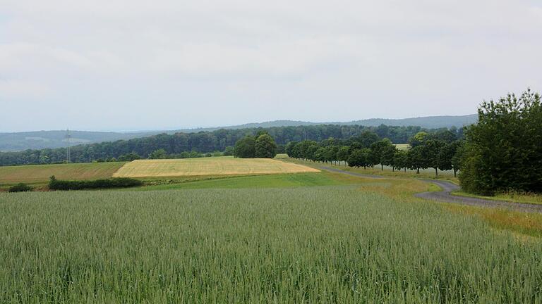 Auf dem Höhenzug zwischen dem Werntal und dem Affental könnte eine zweite Photovoltaikanlage mit maximal 60 Hektar entstehen. Ausführende Firma wäre hier die Firma 'Südwerk'.