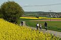 Wer am 1. Mai in Unterfranken Pläne im Freien hat, kann mit Temperaturen von bis zu 29 Grad Celsius rechnen.