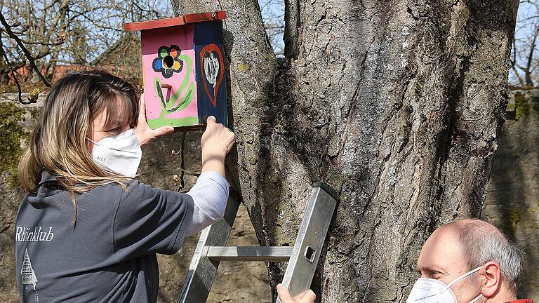 Bunt bemalt ist ein Teil der Nistkästen im Jörgentor-Park. Ute Krais  (links), die Naturschutzwartin des Rhönklub-Zweigvereins, reinigt gerade  einen Kasten. Egbert Haut, der Vorsitzende des Vereins, hält ihr die Leiter.       -  Bunt bemalt ist ein Teil der Nistkästen im Jörgentor-Park. Ute Krais  (links), die Naturschutzwartin des Rhönklub-Zweigvereins, reinigt gerade  einen Kasten. Egbert Haut, der Vorsitzende des Vereins, hält ihr die Leiter.