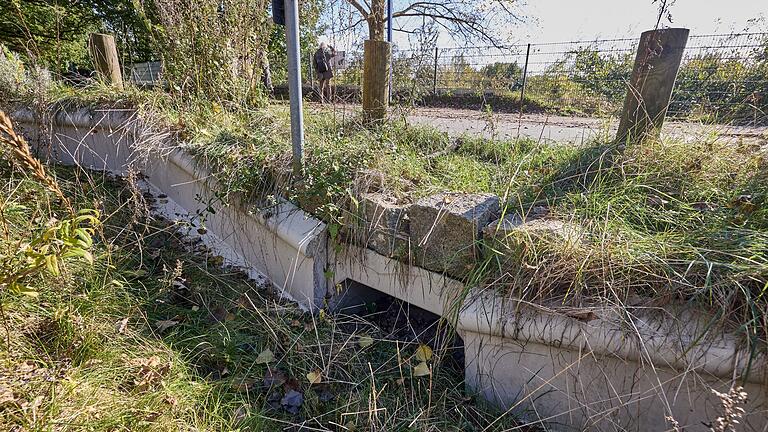 &bdquo;Das Schwarzbuch 2024/25 - Bürokratie und ihr konsequenter Abbau&rdquo;       -  Finden sich im neuen Schwarzbuch des Steuerzahlerbunds im Kapitel &bdquo;Richtig Skurril!&rdquo;: Krötentunnel in Hamburg-Blankenese.